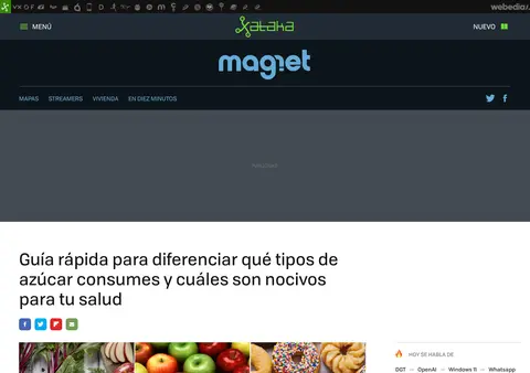 Captura de Xataka (Magnet)